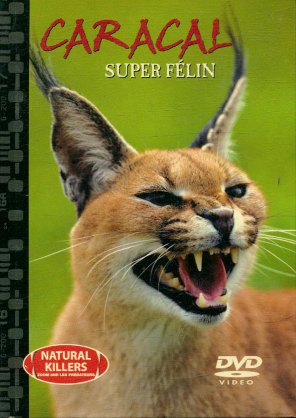Livrenpoche : Caracal, super félin - XXX - DVD