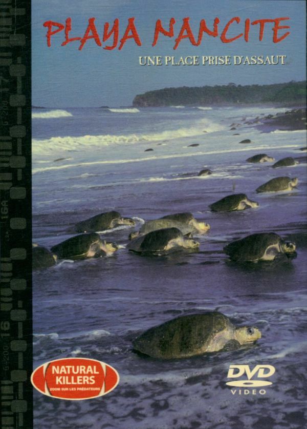 Livrenpoche : Playa Nancite: une plage prise d'assaut - XXX - DVD