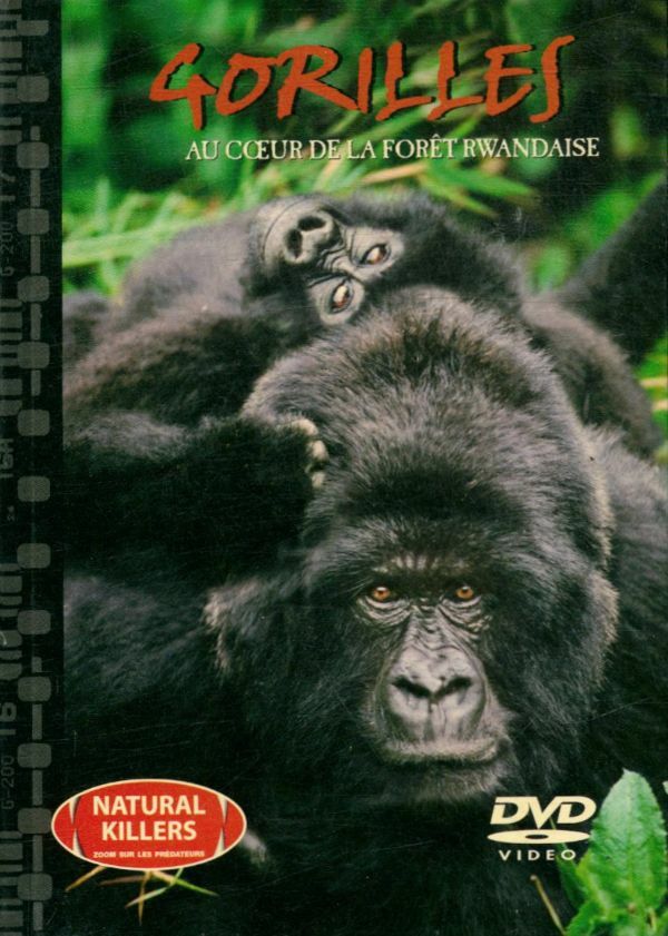 Livrenpoche : Gorilles: au coeur de la forêt rwandaise - XXX - DVD