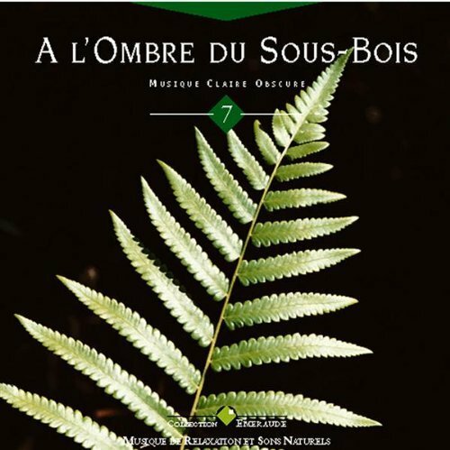 Livrenpoche : A l'ombre du sous-bois - Olivier Renoir - CD