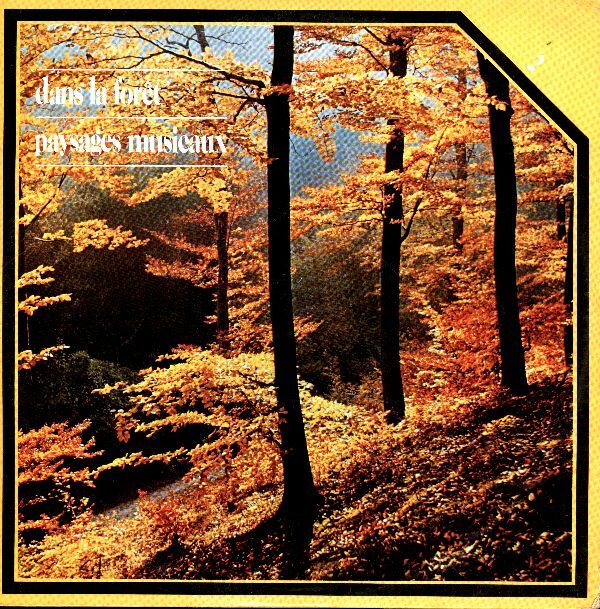 Livrenpoche : Dans la forêt - paysages musicaux - Inconnu - Vinyle