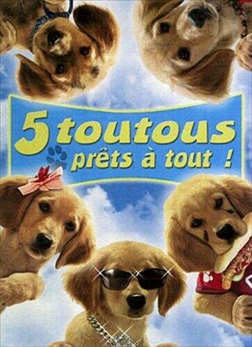 Livrenpoche : 5 toutous prets a tout! - Robert Vince - DVD