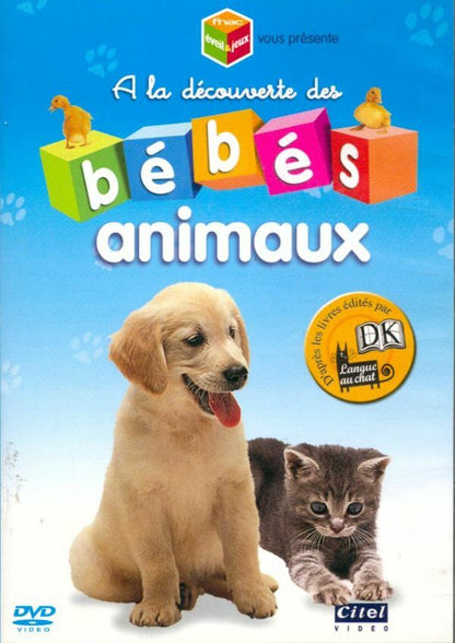 Livrenpoche : A la decouverte des bebes animaux - XXX - DVD