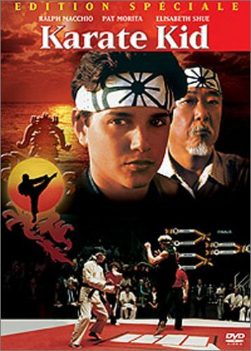 Livrenpoche : Karaté Kid (Édition Spéciale) - John G. Avildsen - DVD