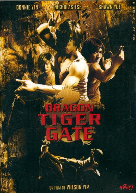 Livrenpoche : Dragon Tiger Gate - Wilson Yip - DVD