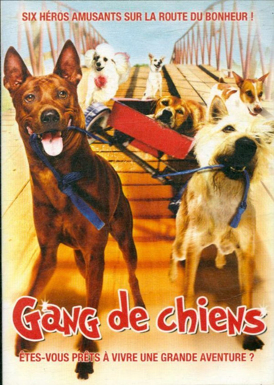 Livrenpoche : Gang de Chiens - Pantham Thongsangl, Somkait Vituranich - DVD