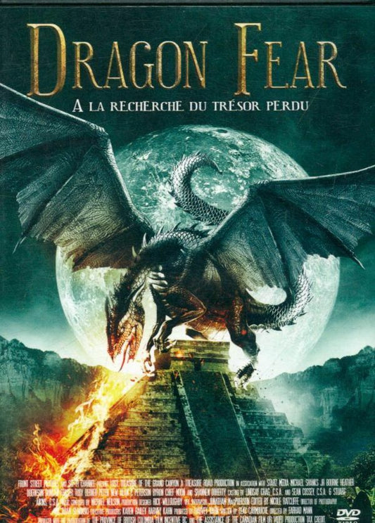 Livrenpoche : Dragon Fear-A la Recherche du trésor Perdu - Farhad Mann - DVD