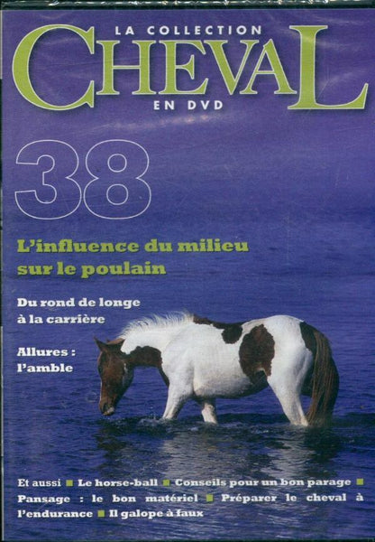 Livrenpoche : Cheval - martin hardoy - DVD