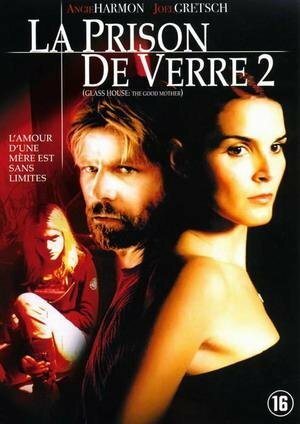 Livrenpoche : La Prison de Verre 2 (The Good Mother) - XXX - DVD