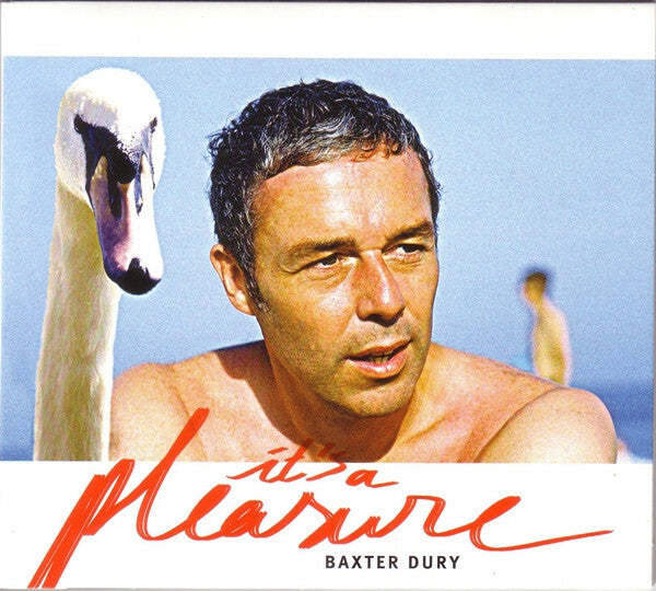 Livrenpoche : Baxter Dury - It's A Pleasure - Baxter Dury - CD