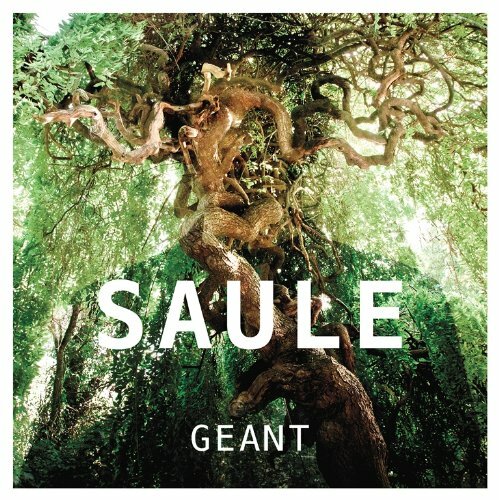 Livrenpoche : Saule - Géant - Saule - CD