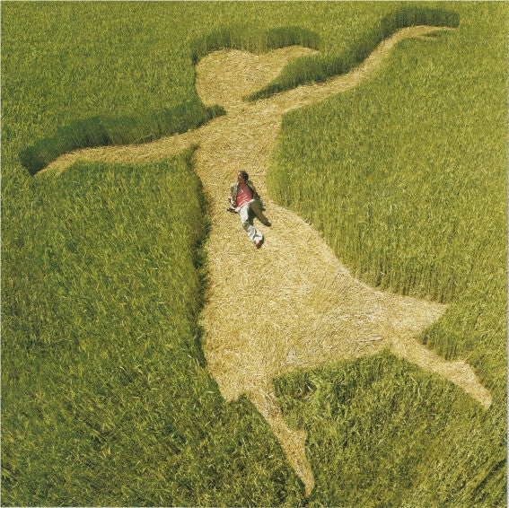 Livrenpoche : Franck Monnet - Au Grand Jour - Franck Monnet - CD