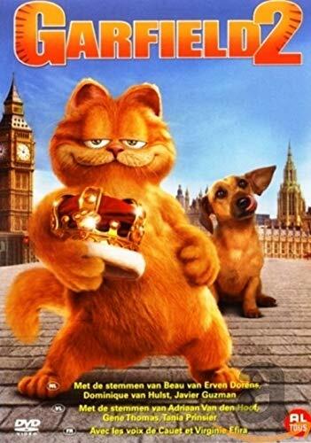 Livrenpoche : Garfield 2 - Tim Hill - DVD