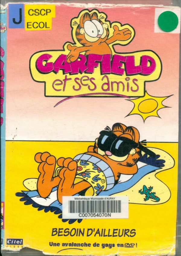 Livrenpoche : Garfield et ses amis : Besoin d'ailleurs - Tom Tataranowicz - DVD