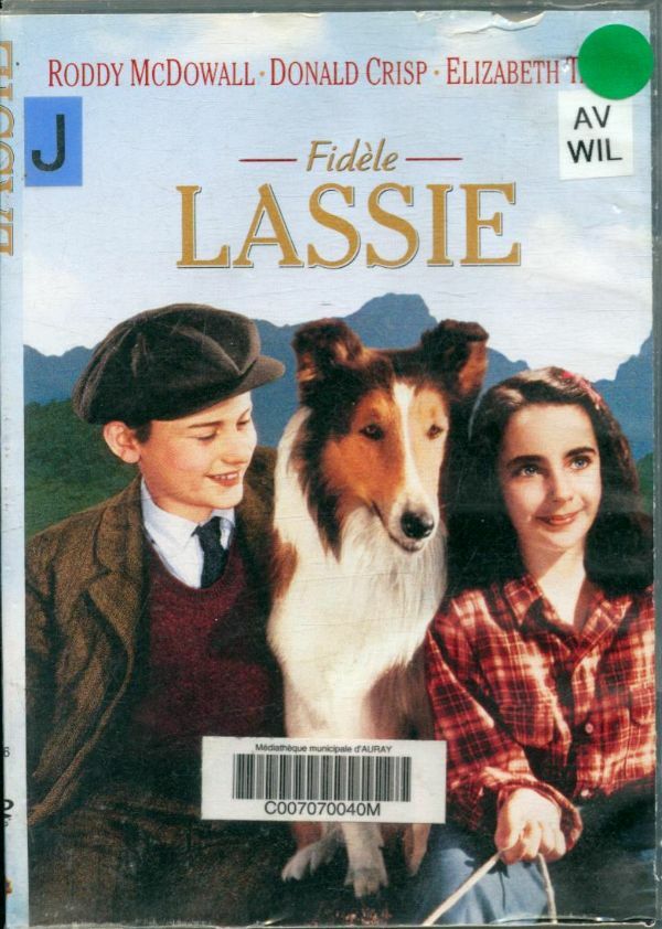 Livrenpoche : Fidèle Lassie - Fred M. Wilcox - DVD