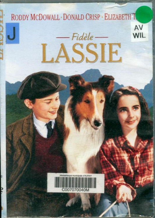Livrenpoche : Fidèle Lassie - Fred M. Wilcox - DVD
