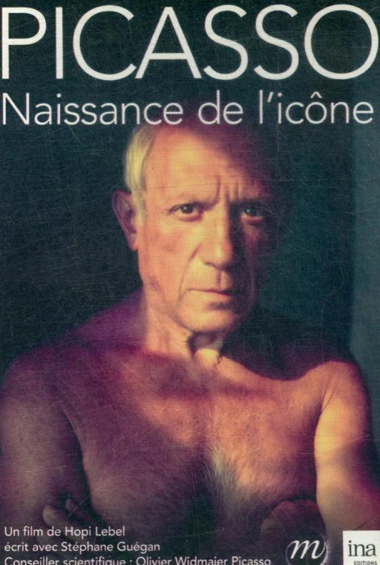 Livrenpoche : Picasso : Naissance d'un icône - Hopi Lebel - DVD
