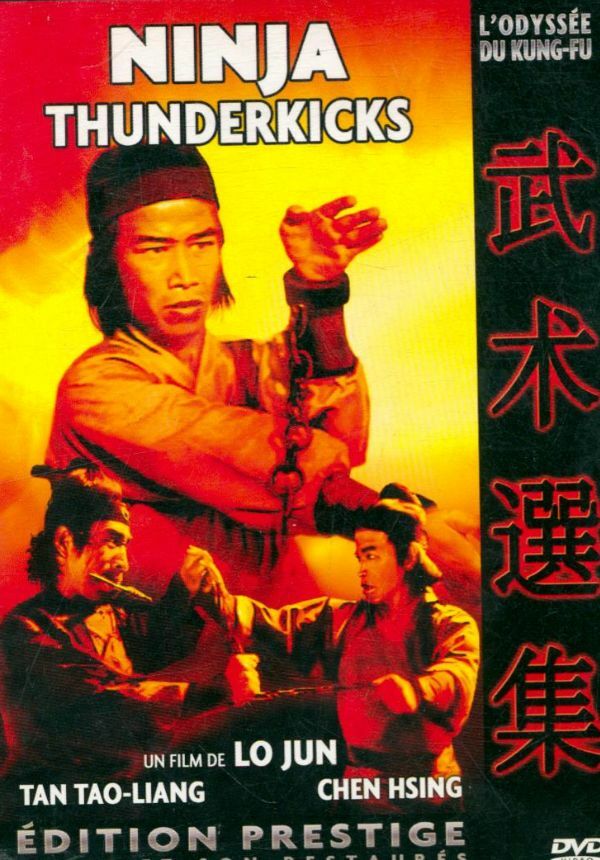 Livrenpoche : Ninja Thunderkicks - XXX - DVD