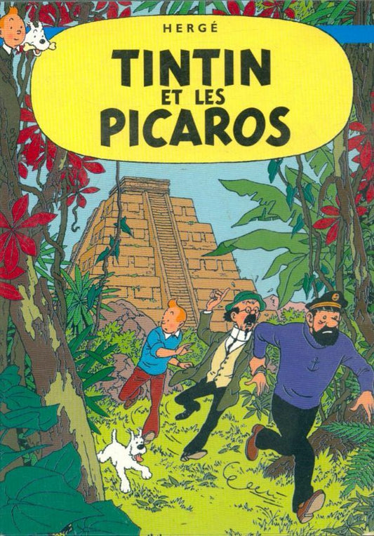 Livrenpoche : Les Aventures Tintin et Les Picaros - Stéphane Bernasconi - DVD