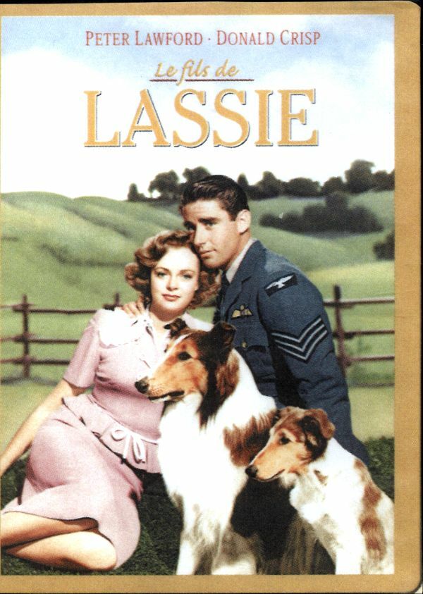 Livrenpoche : Le Fils de Lassie - S. Sylvan Simon - DVD
