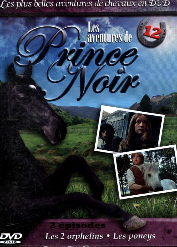 Livrenpoche : Les avnetures du prince noir 12 - XXX - DVD
