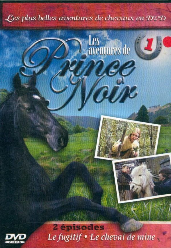 Livrenpoche : Prince Noir 1 - James Hill - DVD