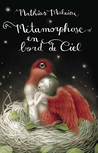 Livrenpoche : Métamorphose en bord de ciel: Édition de luxe - XXX - DVD