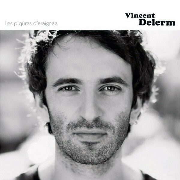 Livrenpoche : Vincent Delerm - Les Piqûres D'Araignée - Vincent Delerm - CD