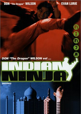 Livrenpoche : Indian Ninja - Don, Rodney McDonald, Evan Lurie, Rick Hill, Tane McClure, Michael Kavanaugh - DVD