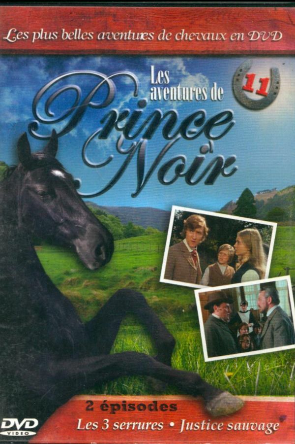 Livrenpoche : Les aventure de Prince Noir volume 11 - XXX - DVD