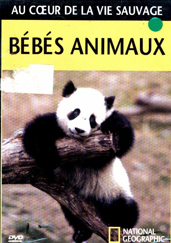 Livrenpoche : Au coeur de la vie sauvage bébés animaux - XXX - DVD