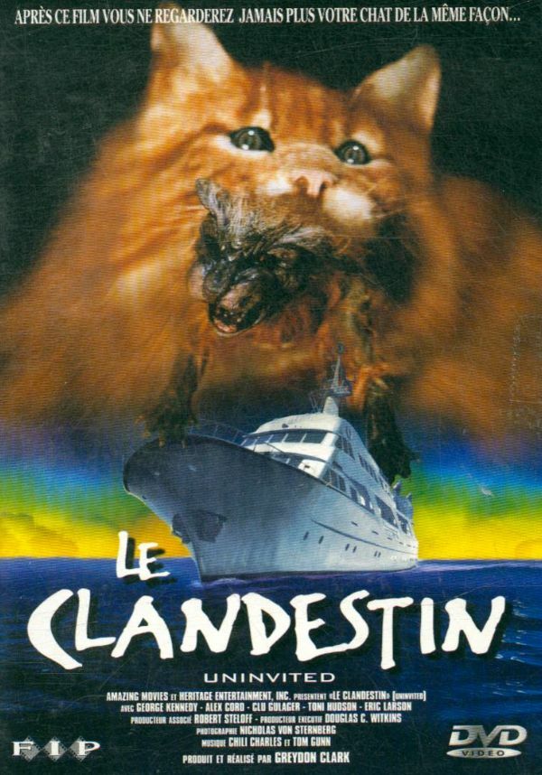 Livrenpoche : Le clandestin - XXX - DVD