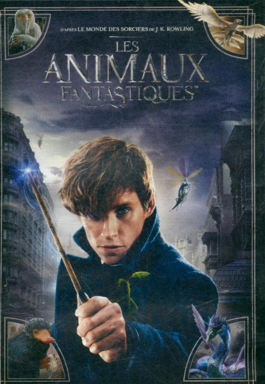 Livrenpoche : Les Animaux fantastiques - Le monde des Sorciers de J.K. Rowling - Dvd - David Yates - DVD