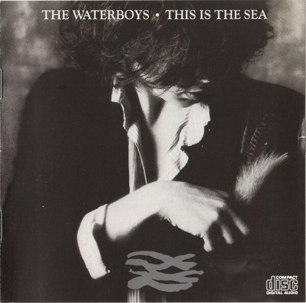 Livrenpoche : The Waterboys - This Is The Sea - The Waterboys - CD