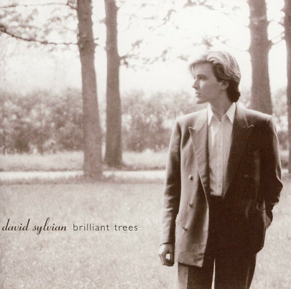 Livrenpoche : David Sylvian - Brilliant Trees - David Sylvian - CD