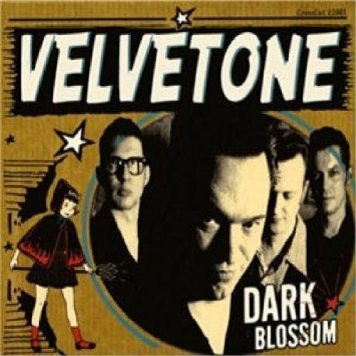 Livrenpoche : Dark Blossom - Velvetone - Dark Blossom - CD