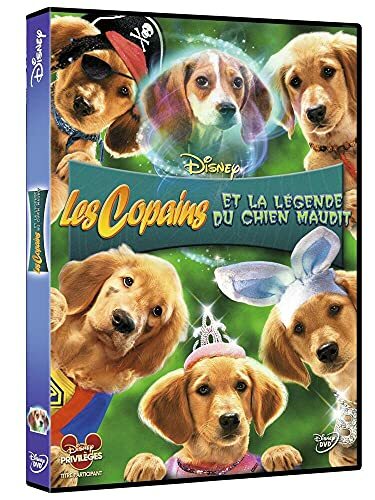 Livrenpoche : Les Copains et la légende du Chien maudit - Robert Vince - DVD