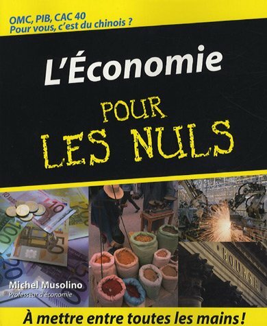 Livrenpoche : ECONOMIE POUR LES NULS - XXX - DVD