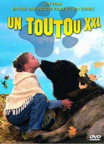Livrenpoche : Storm Heart - Kaisa Rastimo - DVD