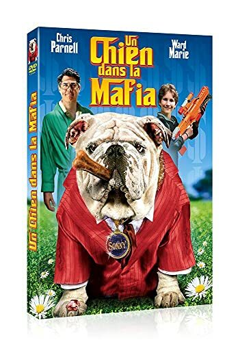 Livrenpoche : Un Chien Dans La Mafia - XXX - DVD