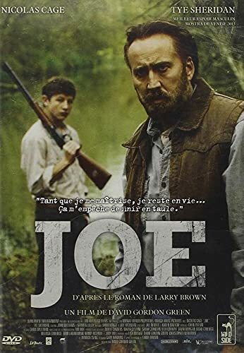 Livrenpoche : Joe - David Gordon Green - DVD
