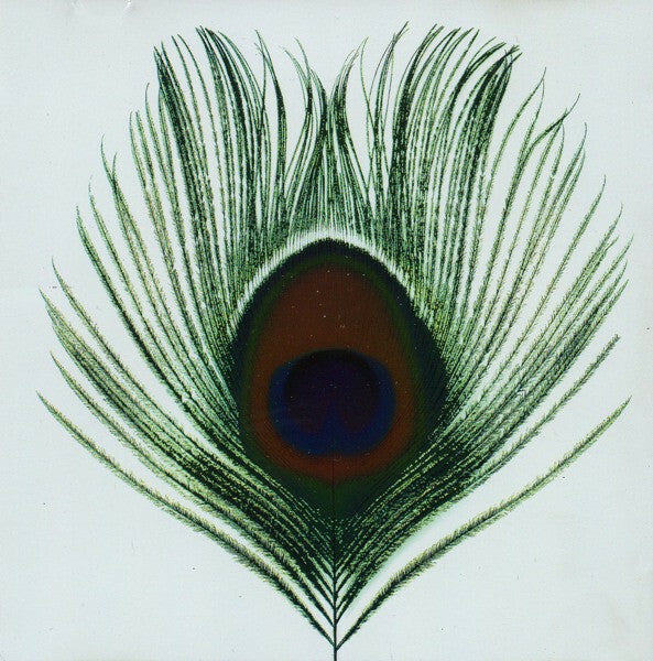 Livrenpoche : Xtc - Apple venus volume 1 - XTC - CD