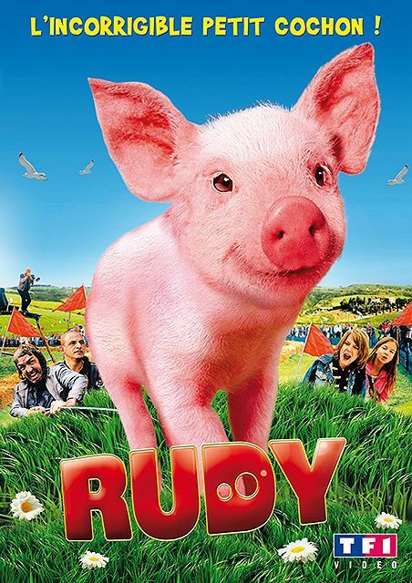 Livrenpoche : Rudy, l'incorrigible Petit Cochon - Peter Timm - DVD