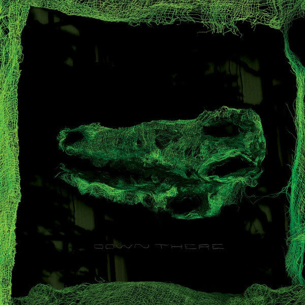 Livrenpoche : Avey Tare - Down There - Avey Tare - CD