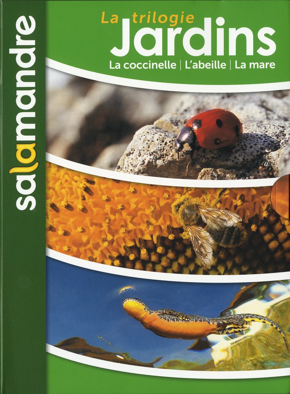 Livrenpoche : La trilogie jardins : Sur la piste des coccinelles, la révolution des abeilles, les héros de la mare - XXX - DVD