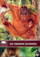 Livrenpoche : Les orangs-outans - Ross, John - DVD