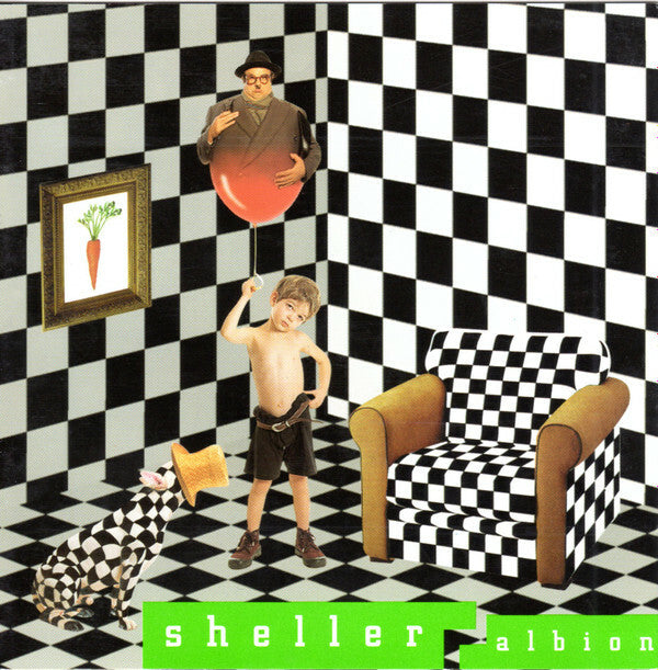 Livrenpoche : William Sheller - Albion - William Sheller - CD