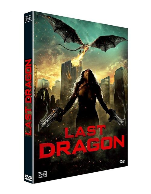 The last dragon : L'ultime bataille - Steven R. Monroe - DVD