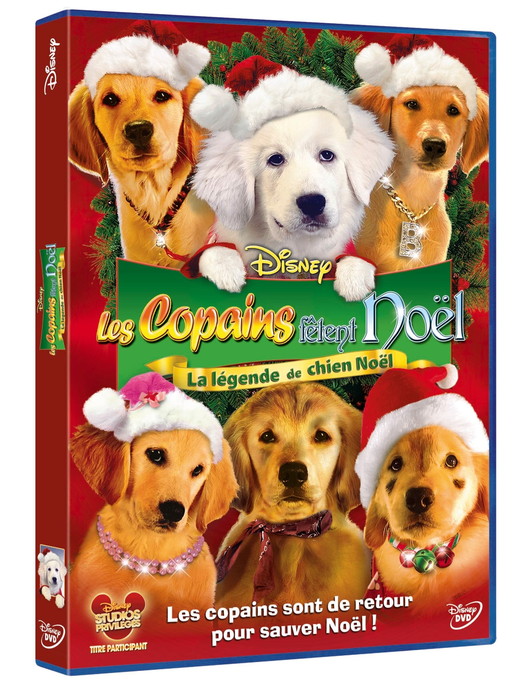 Livrenpoche : Les copains fêtent Noël - Robert Vince - DVD