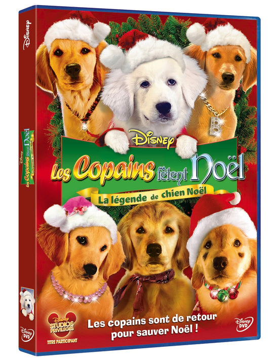 Livrenpoche : Les copains fêtent Noël - Robert Vince - DVD